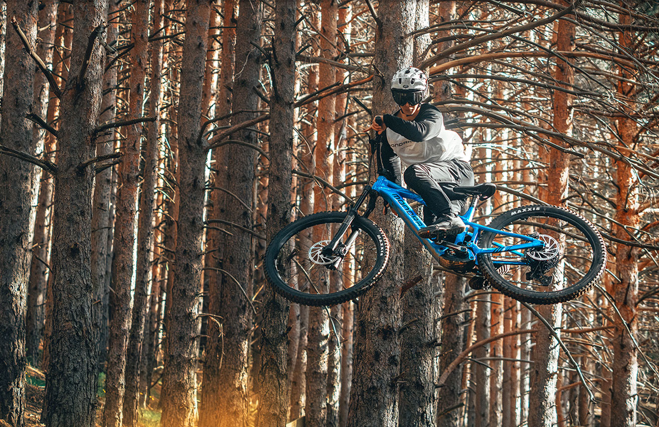 Mondraker_2